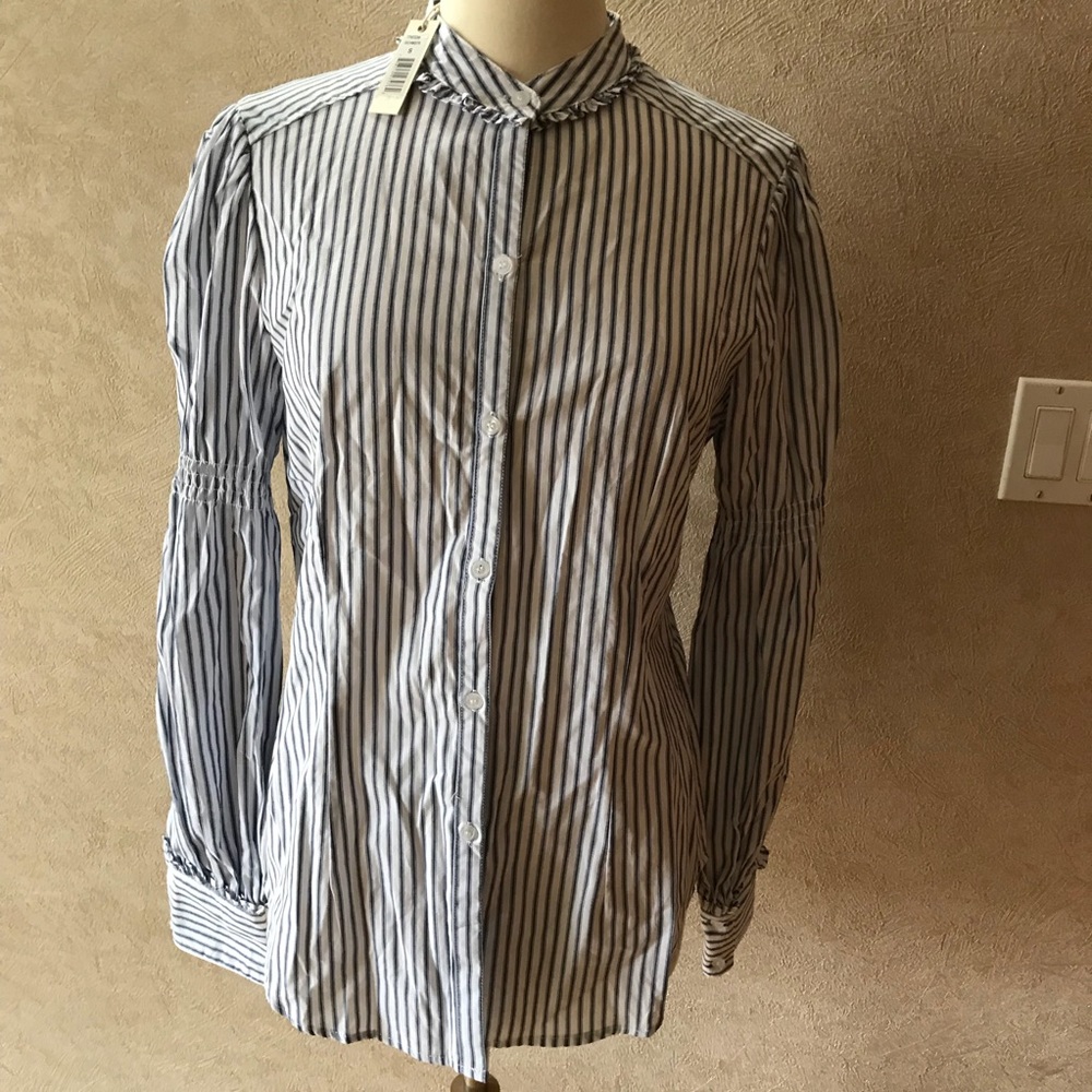 Max Studio dress button down shirt